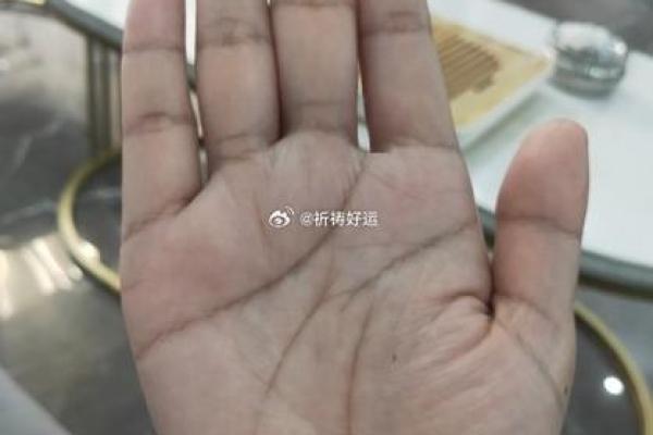 黄多多的命运密码：那些关于八字的误区你知道吗？