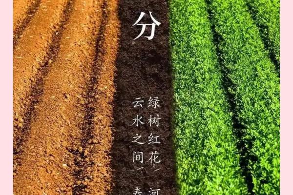 春分时节：感悟农耕智慧，走进传统养生之道