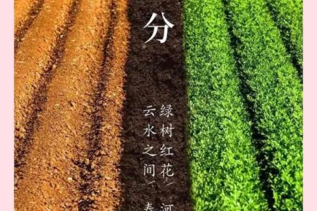 春分时节：感悟农耕智慧，走进传统养生之道