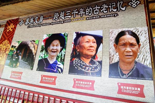 黎族养生节日：传统智慧与现代健康的碰撞