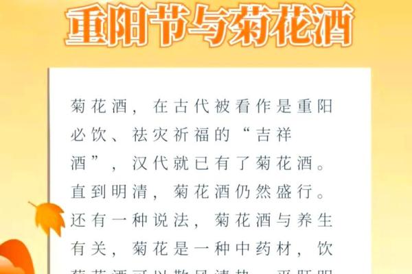 重阳节：敬老与养生的双重传承