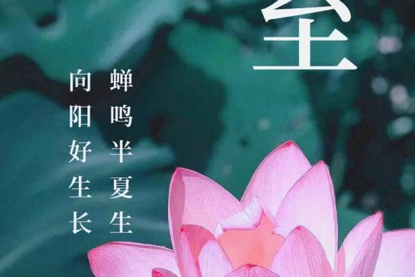 夏至节：阳光正盛，滋养身体的季节平衡