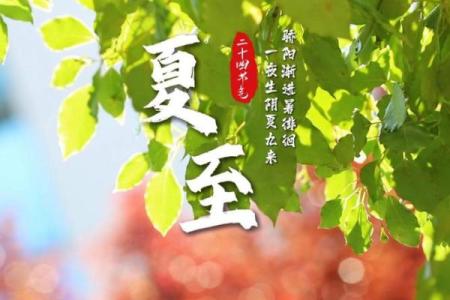 夏至节：阳光正盛，滋养身体的季节平衡