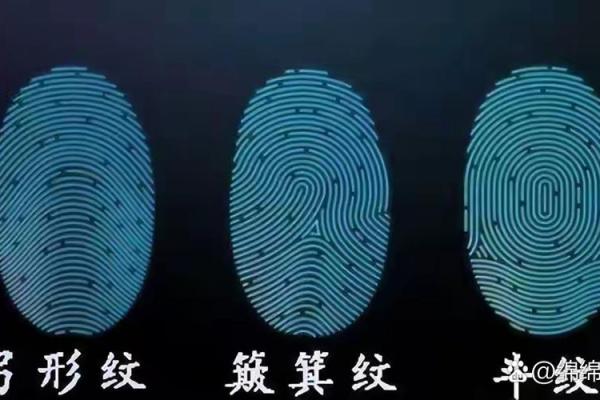 误区揭示：终南命理净土背后隐藏的命运真相