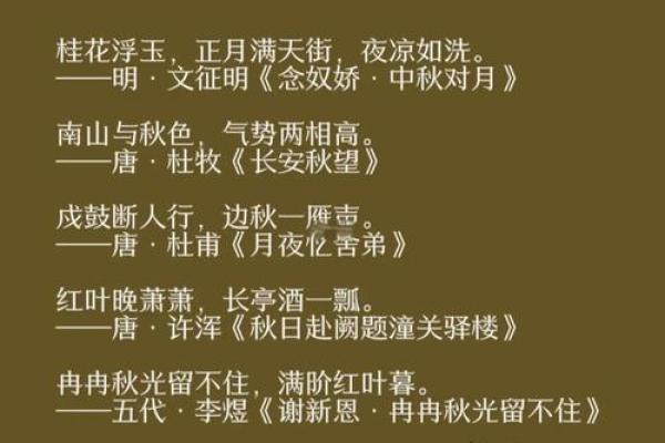 文化节：品味古代秋季诗词与礼仪