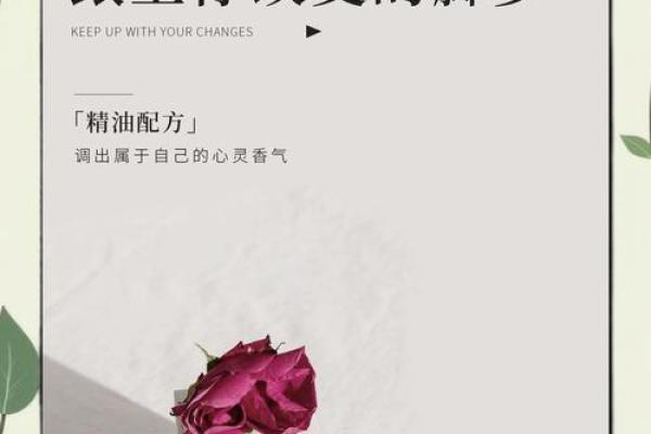 国际日：如何在节气变化中保持身心平衡