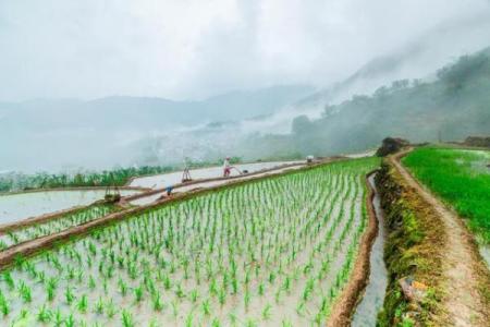 探秘加拿大冬至节：天文与农耕的完美融合