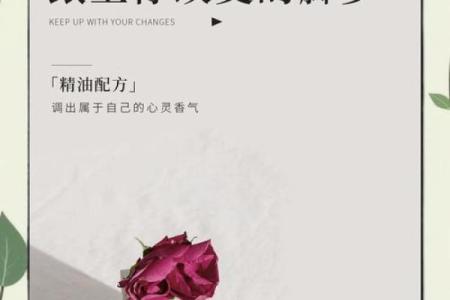 国际日：如何在节气变化中保持身心平衡