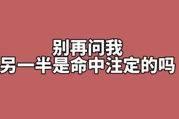 人走红的命理误区，反而是这些因素在决定你的人生轨迹