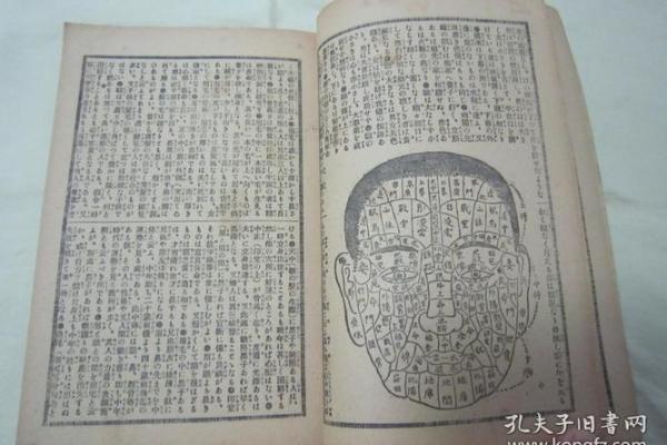 命运密码揭示：老婆学命理后，竟然发现了这些颠覆性真相