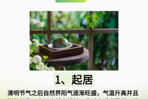 清明节的养生智慧与踏青习俗