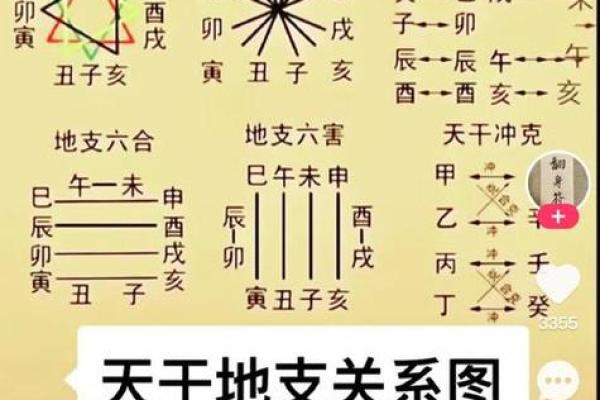 解析生辰八字如何影响命运，不同命格该如何调整运势