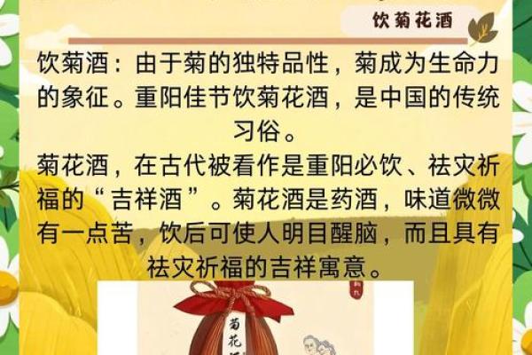 重阳节的养生之道，如何传承老年人健康文化