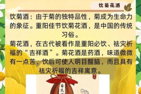 重阳节的养生之道，如何传承老年人健康文化