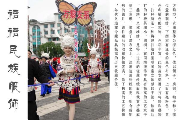 苗族春节习俗：从农耕岁月到现代养生的传承