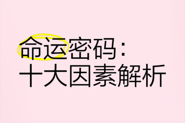 探索命运密码：新派命理如何挑战传统命运观念