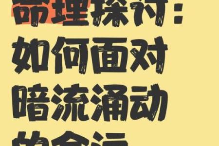 探索命运密码：新派命理如何挑战传统命运观念
