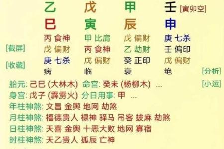 生男生女的命运密码：你了解自己的八字真相吗？
