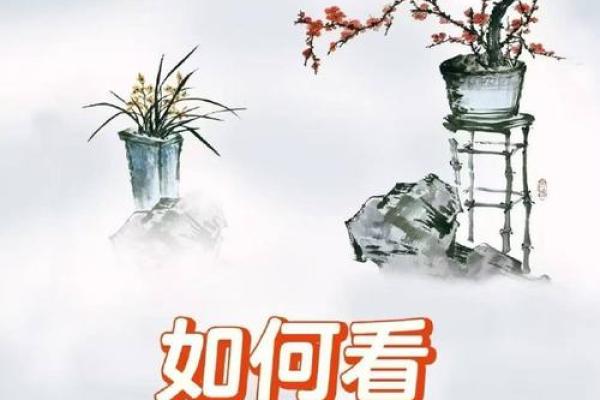 揭秘生辰八字阿启，能改运吗？如何合婚看什么才能避开命运不同的困扰