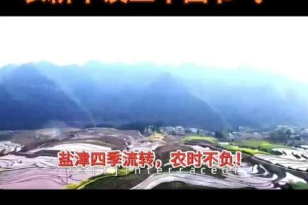 农耕节气背后的智慧与传承