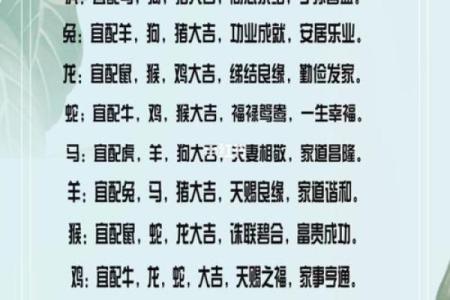 生辰八字测名打分揭秘：如何根据八字改变运势？合婚时的关键因素是什么？