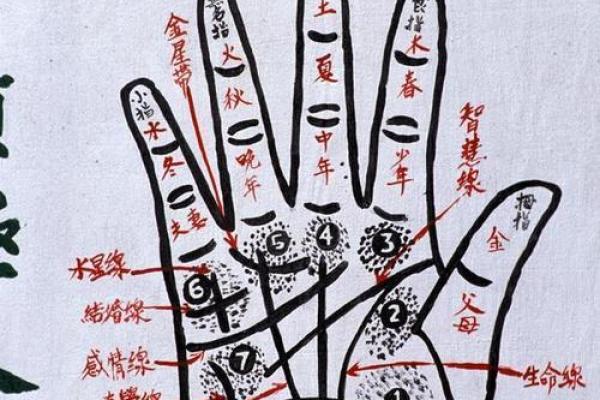生辰八字选手机号，能改变命运吗？深度解析