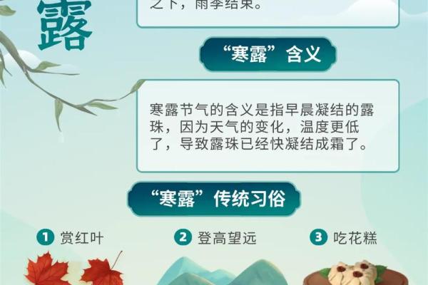 十一月节气：寒露的养生秘诀与秋冬交替的保健之道