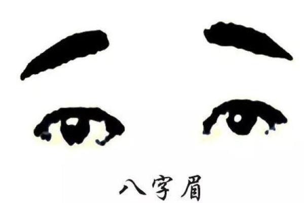 沈星八字中的命运密码，背后的深层玄机你知道吗？