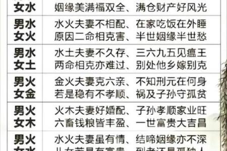 揭开生辰八字相配指数的秘密：合婚能改变命运吗？