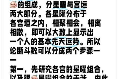 如何破解命运密码？命理精华中的用神法揭示隐藏玄机