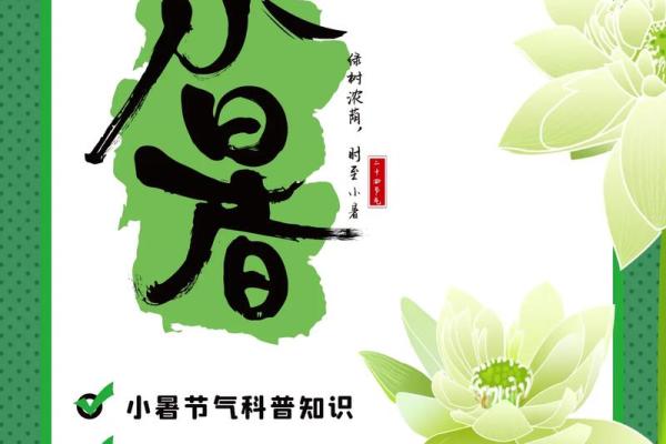 小暑养生：如何保持身体在夏季的平衡