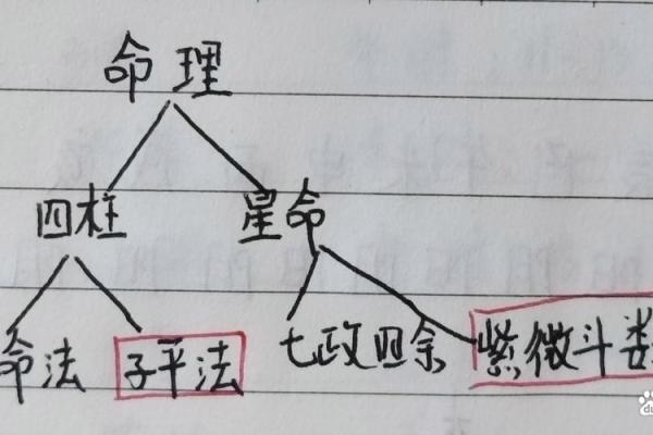 颠覆传统：八字命格的真相可能与你想象的完全不同