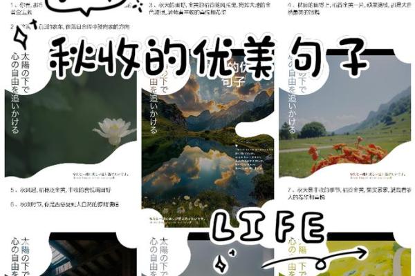 是秋收节，感恩大自然的馈赠