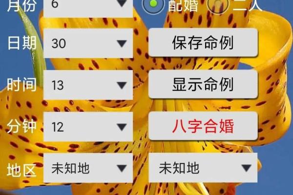 生辰八字解析：能否改变命运？合婚时需要看哪些关键因素？