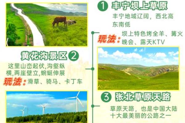 那达慕节的养生智慧：如何在节庆中享受草原健康