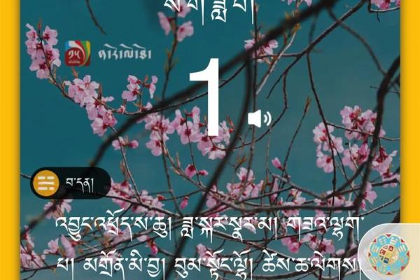 西藏萨嘎达瓦节：天文与宗教融合的神圣时刻