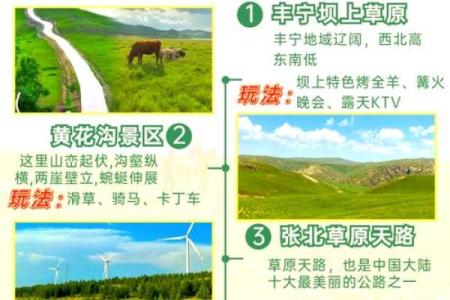 那达慕节的养生智慧：如何在节庆中享受草原健康