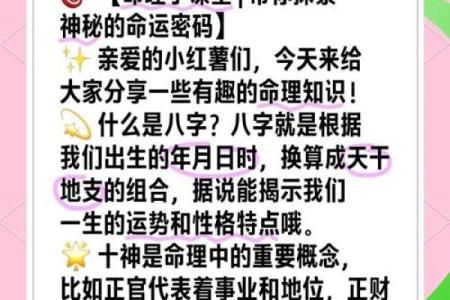 解密命运密码：如何通过八字打破命运桎梏，逆袭人生