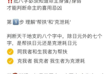 如何通过生辰八字破解学业难题？命运差异究竟何在？