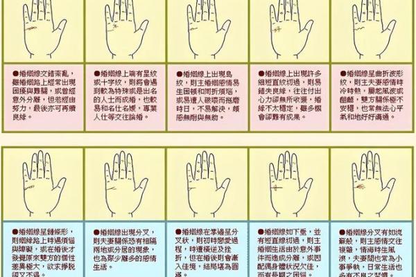 命运密码大揭秘：命理手士图如何揭示你未知的命运轨迹