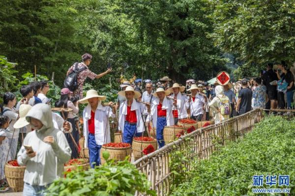 八月八日的节日意义：农耕文化中的丰收祈愿