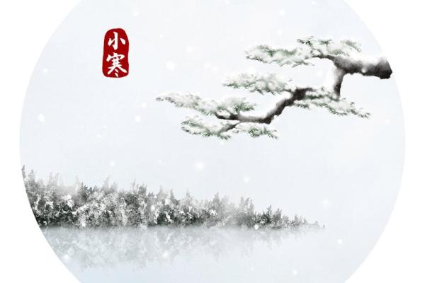 小寒与大寒节令中的农耕智慧，如何应对极寒天气