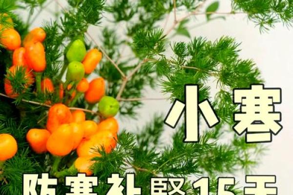 小寒与大寒节令中的农耕智慧，如何应对极寒天气