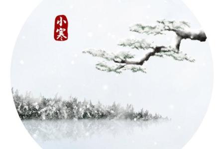 小寒与大寒节令中的农耕智慧，如何应对极寒天气
