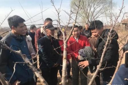 纳西族的春耕节：天人合一的农业庆典
