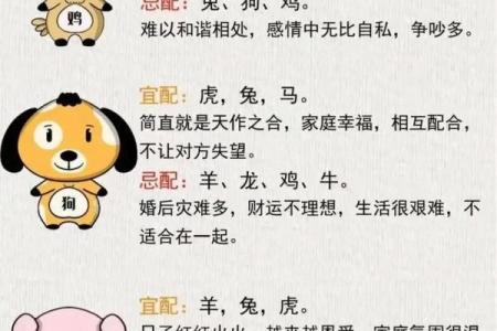 揭秘生辰八字被别人知道后，能改运吗？合婚看什么？命运有何不同？