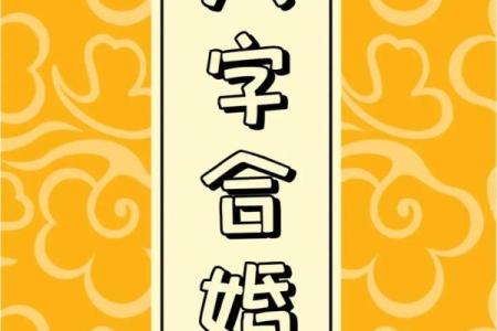 揭秘易经八字：合婚看哪些关键因素，命运如何影响婚姻