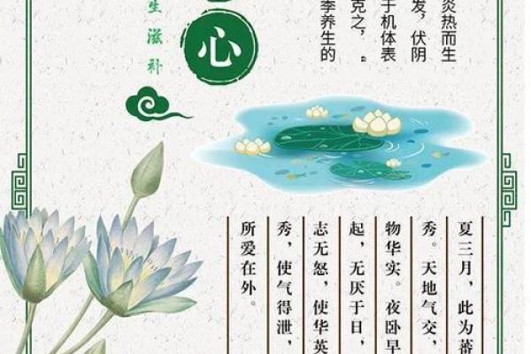 夏日养生节：从传统文化到现代应用的智慧