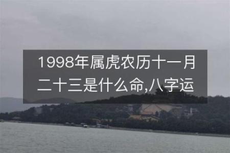 解析生辰八字双虎，命运不同如何影响婚姻和事业？