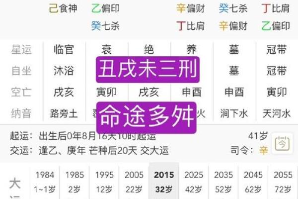 丁丑命理揭秘:命运密码暗藏玄机,如何改变你的未来? 丁丑命理揭秘:命运密码暗藏玄机,如何改变你的未来?